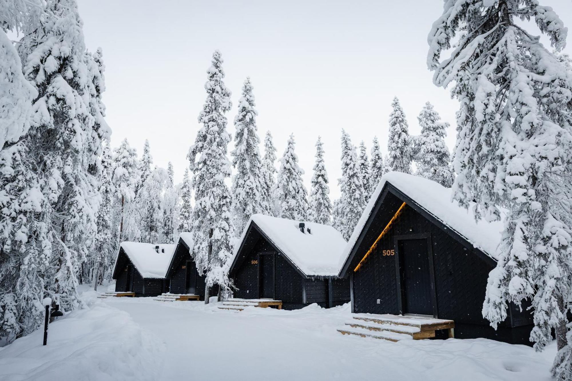 Aurora Cabin Igloo